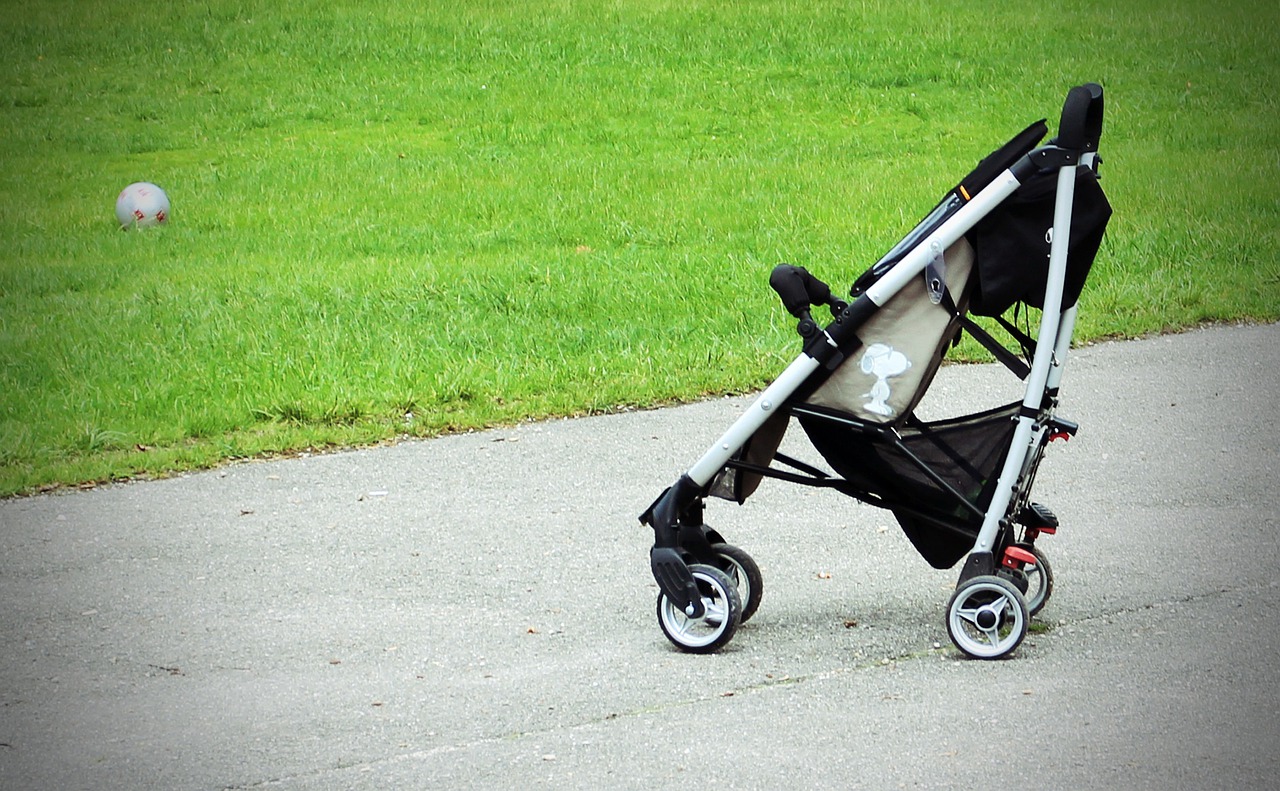 stroller, buggy, alone-337696.jpg